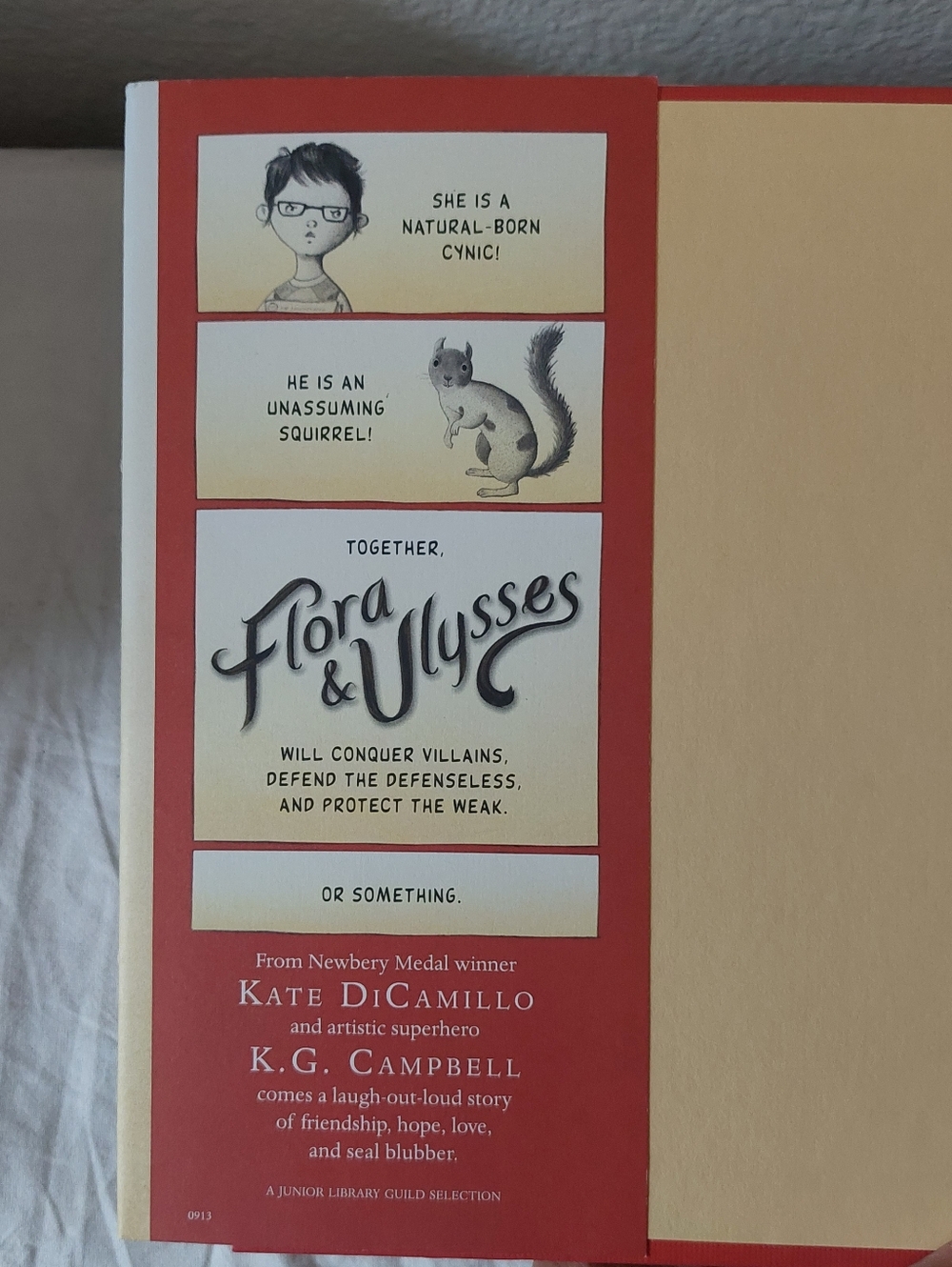 Kate DiCamillo 3 Hardback Book Bundle For Middle Grade Readers - Picture 4 of 10